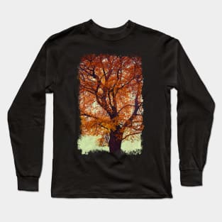 Beech Tree In Fall Colors Long Sleeve T-Shirt